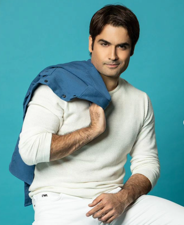 vivian dsena