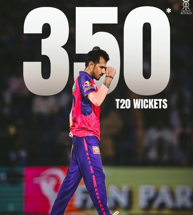 T20 Wicket