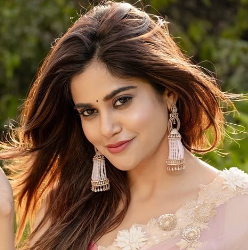 Aaditi Pohankar Profile