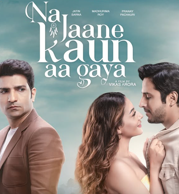 Pranay Pachauri on the poster of the film 'Naa Jaane Kaun Aa Gaya'