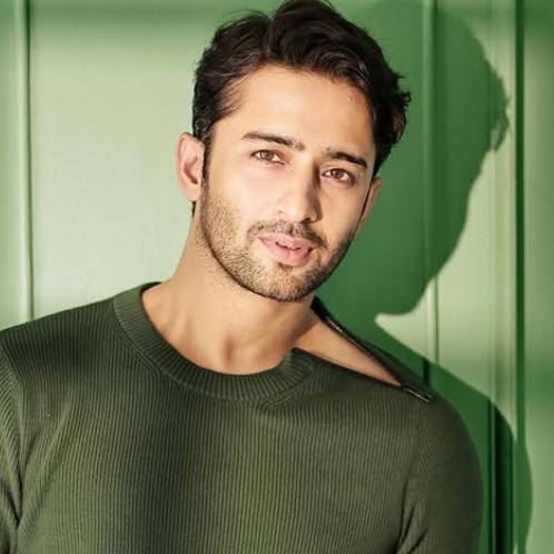 Shaheer Sheikh Profile